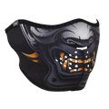 FACE PROTECTION