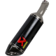 Akrapovic Carbon Fiber Slip-On Line Muffler Muffler Cf Bmw S1000Rr 19 S-B10So10-Zc