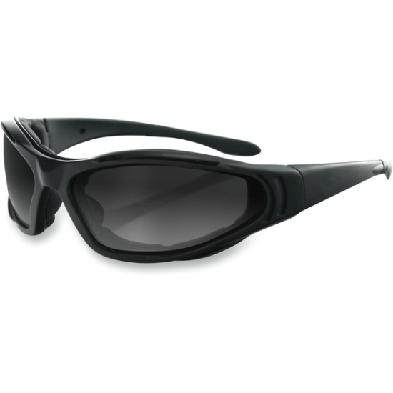 Bobster Raptor Ii Sunglasses Sunglass Raptor Ii Intrch Bra201